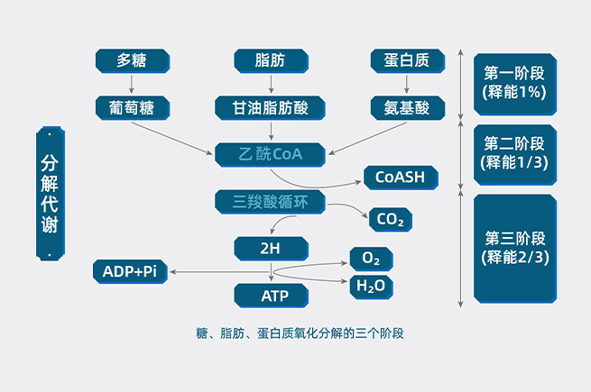 &#24320;&#20803;&#32593;&#31449;&#30331;&#24405;&#20837;&#21475;&#95;&#24320;&#20803;&#65288;&#20013;&#22269;&#65289;